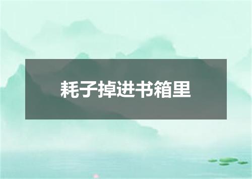 耗子掉进书箱里