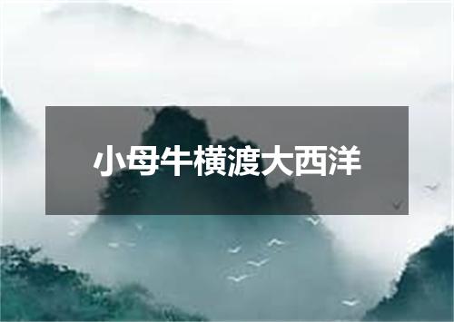 小母牛横渡大西洋