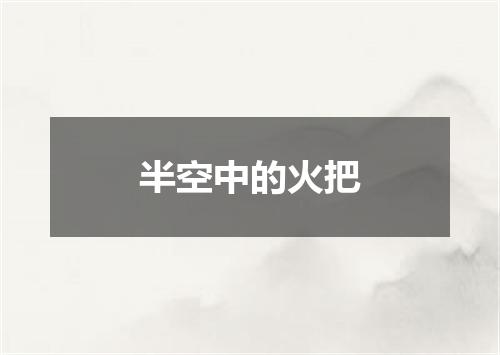半空中的火把
