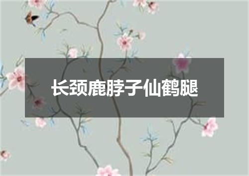 长颈鹿脖子仙鹤腿