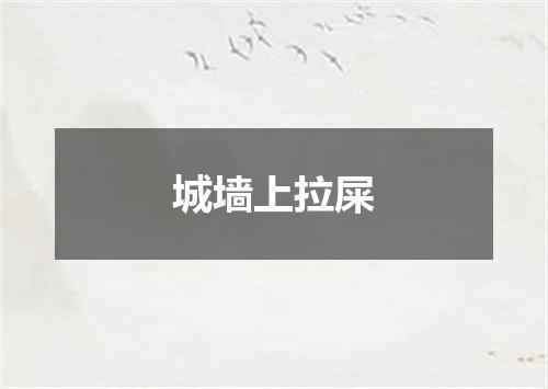 城墙上拉屎