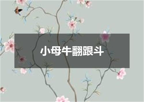 小母牛翻跟斗