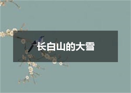长白山的大雪