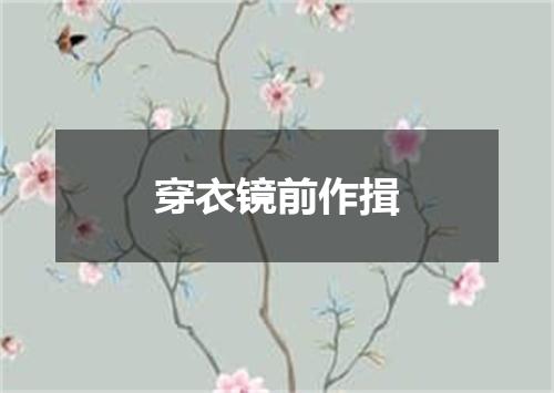 穿衣镜前作揖