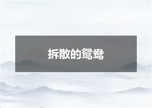 拆散的鸳鸯