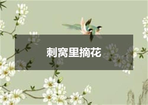 刺窝里摘花
