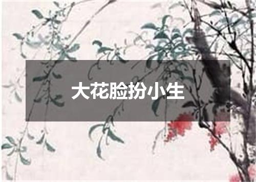 大花脸扮小生
