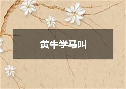 黄牛学马叫