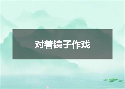 对着镜子作戏