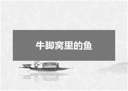 牛脚窝里的鱼
