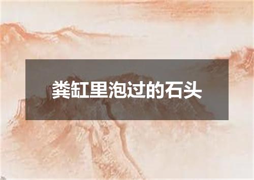 粪缸里泡过的石头
