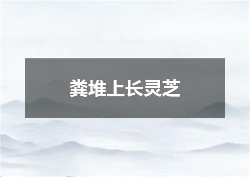 粪堆上长灵芝