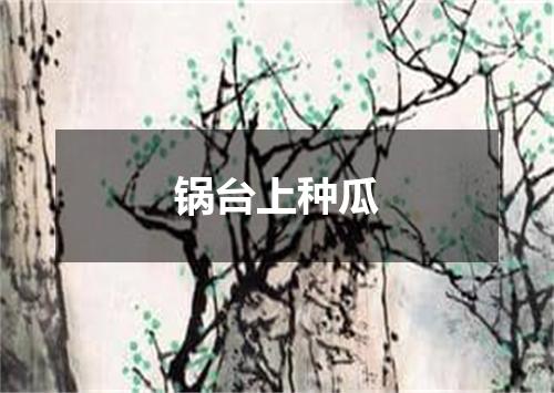 锅台上种瓜