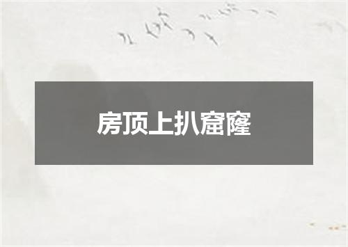房顶上扒窟窿