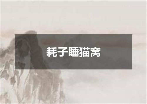 耗子睡猫窝