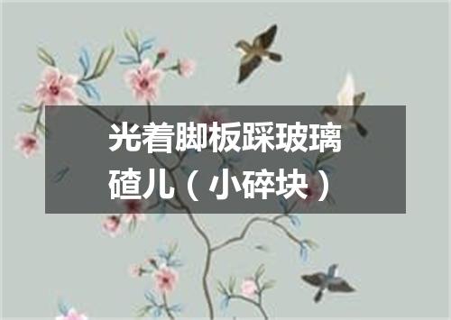 光着脚板踩玻璃碴儿（小碎块）