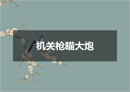 机关枪瞄大炮