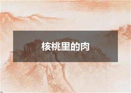 核桃里的肉