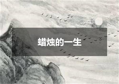 蜡烛的一生