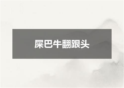 屎巴牛翻跟头