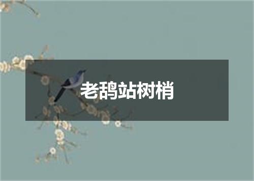 老鸹站树梢
