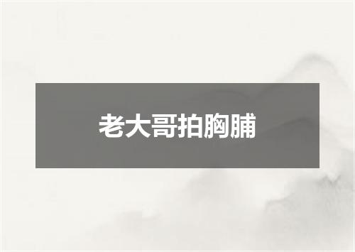 老大哥拍胸脯