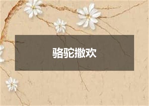 骆驼撒欢