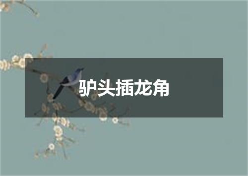 驴头插龙角