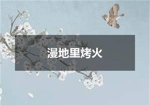 漫地里烤火
