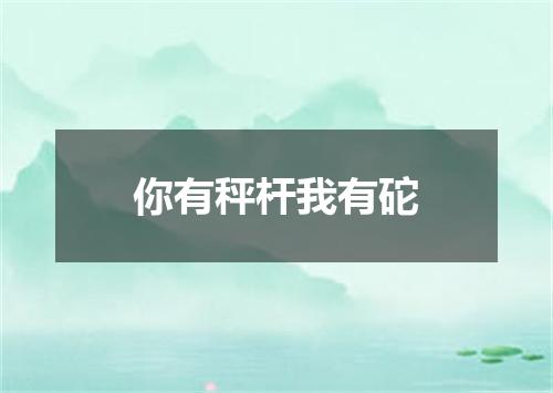 你有秤杆我有砣