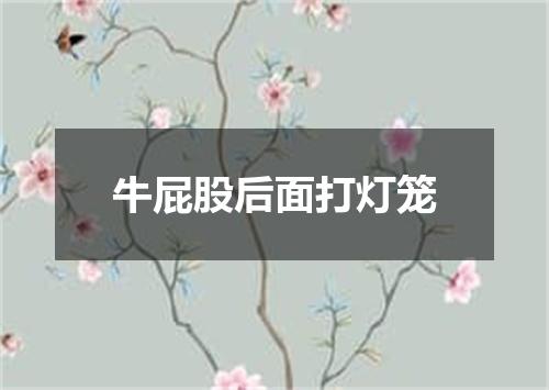牛屁股后面打灯笼