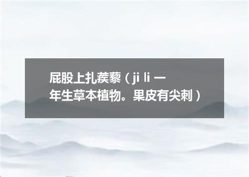 屁股上扎蒺藜（ji li 一年生草本植物。果皮有尖刺）