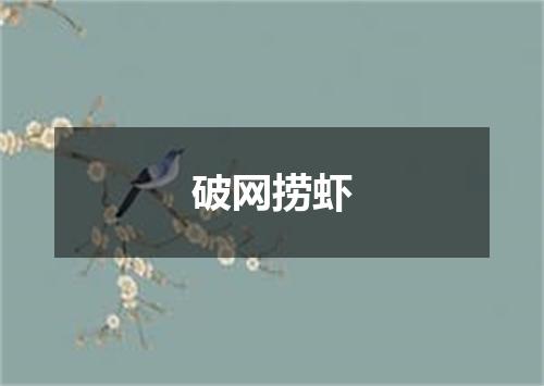 破网捞虾