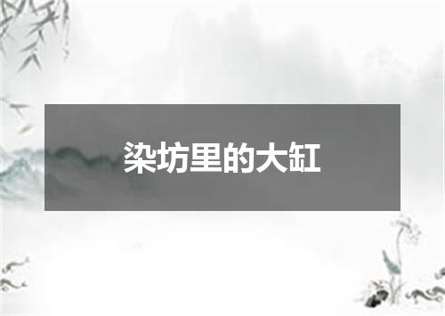 染坊里的大缸