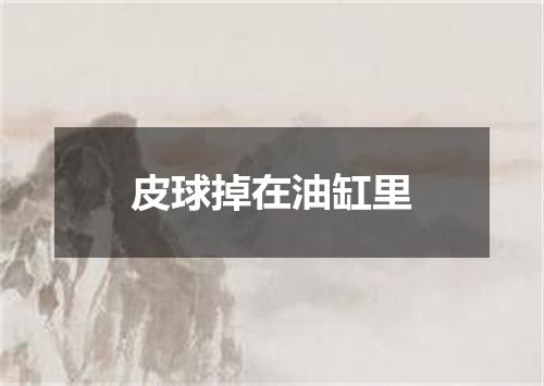 皮球掉在油缸里