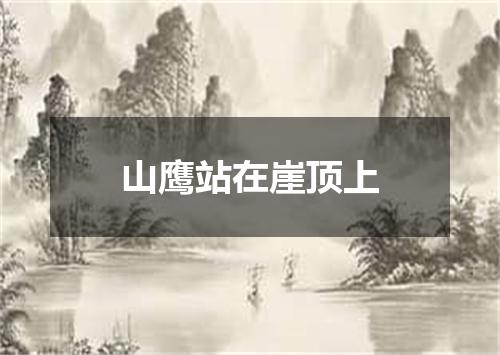 山鹰站在崖顶上