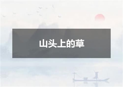 山头上的草