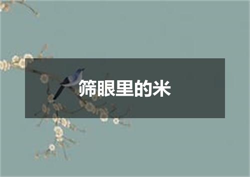 筛眼里的米