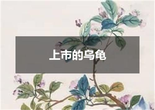 上市的乌龟