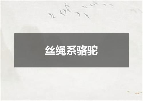 丝绳系骆驼