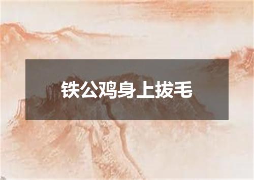 铁公鸡身上拔毛