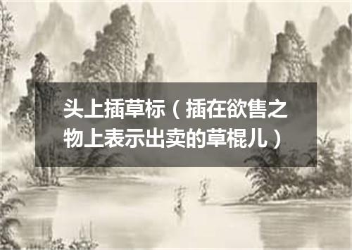 头上插草标（插在欲售之物上表示出卖的草棍儿）