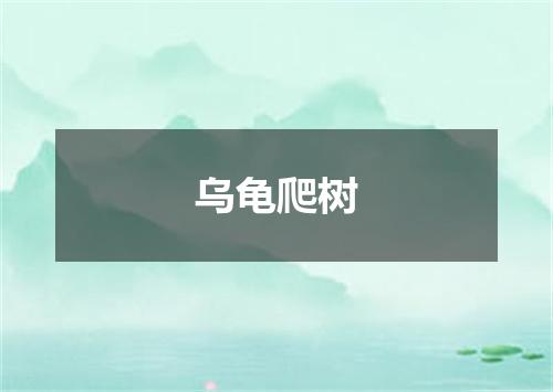 乌龟爬树