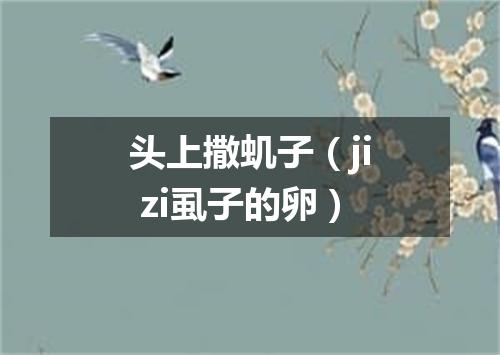 头上撒虮子（ji zi虱子的卵）