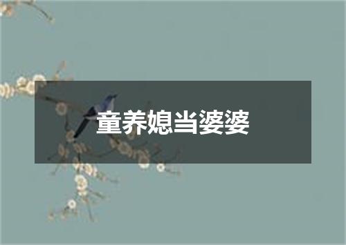 童养媳当婆婆