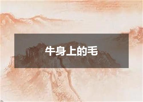 牛身上的毛