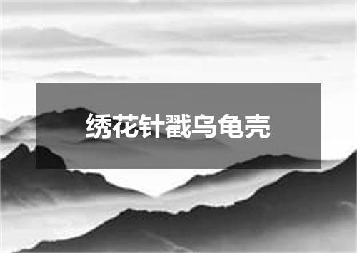 绣花针戳乌龟壳