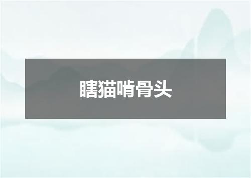 瞎猫啃骨头