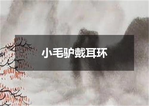 小毛驴戴耳环