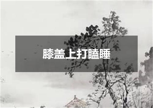膝盖上打瞌睡